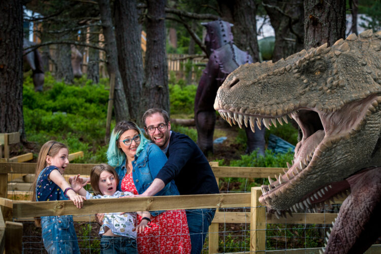 Landmark Forest Adventure Park