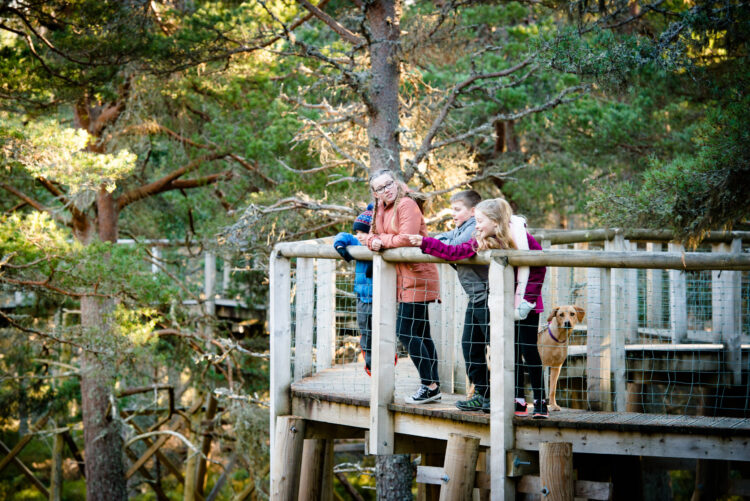 Landmark Forest Adventure Park