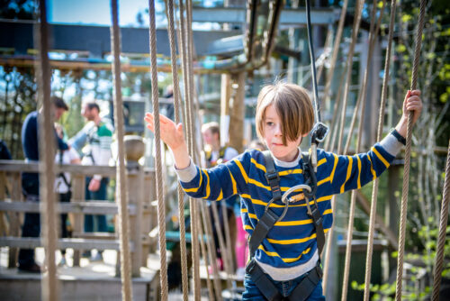 Landmark Forest Adventure Park