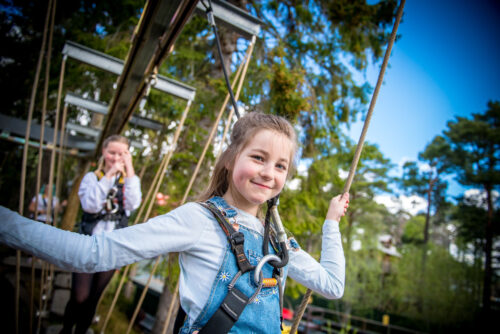 Landmark Forest Adventure Park