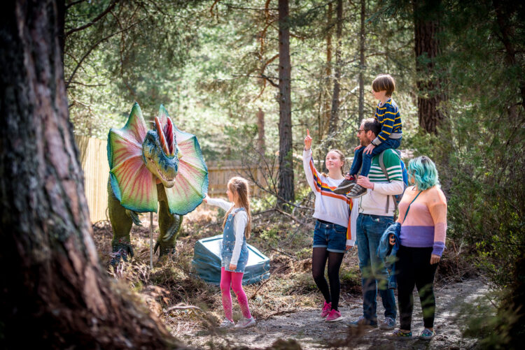 Landmark Forest Adventure Park