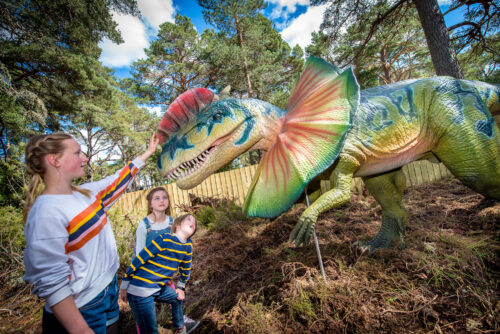 Landmark Forest Adventure Park
