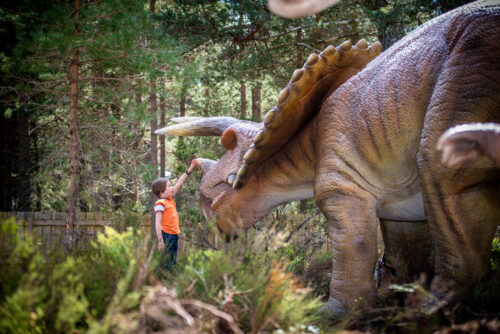 Landmark Forest Adventure Park