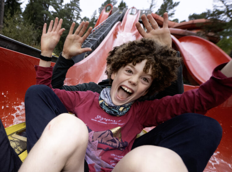 Landmark Forest Adventure Park