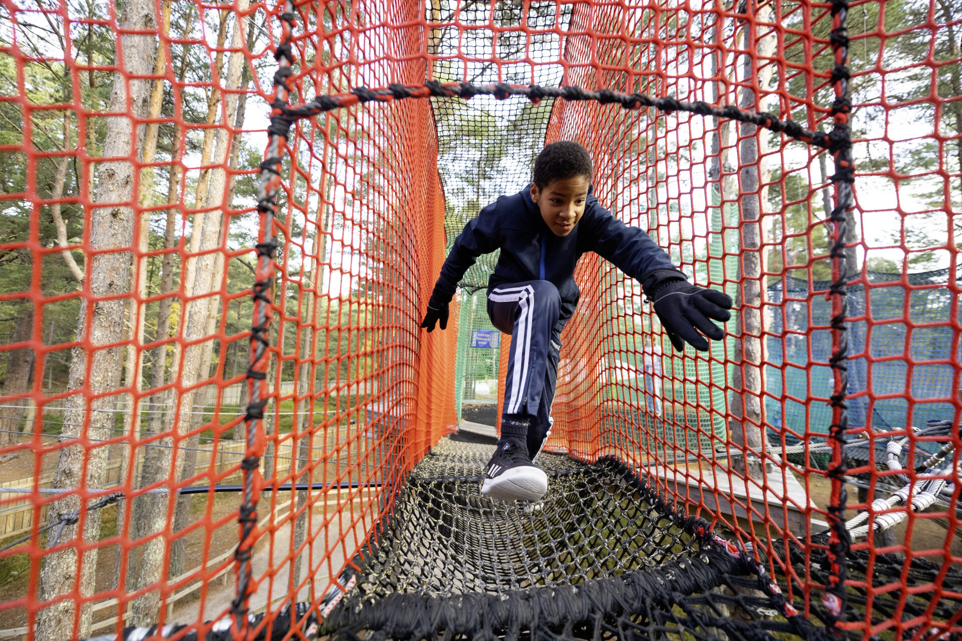 Net Slide Adventure NetworX | Aerial Net Adventure | Landmark Forest Adventure Park