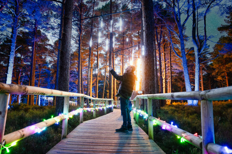 Landmark Forest Adventure Park